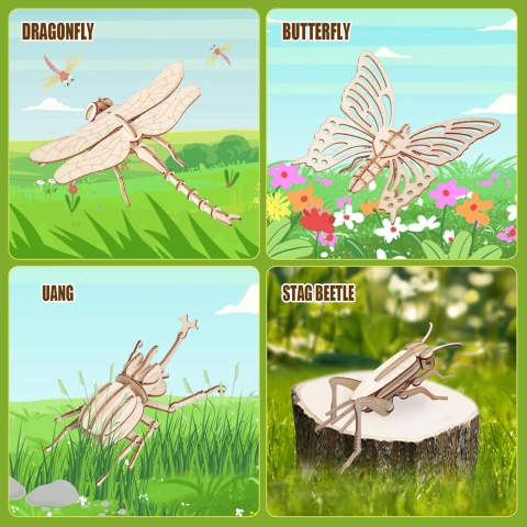Wooden Insects to paint and build