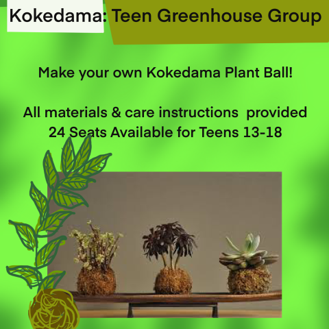 Join other Teens for the 1st meeting of the "Teen Greenhouse Group" on the 30th of January!   We will meet in the Community room from 4-5 PM (while the greenhouse is cold). with up to 24 participants.   Each teen will leave with a Kokedama they make themselves.   Care instructions will be sent home as well to keep it thriving!  You may get a little dirty, so please dress appropriately.    Kokedama is a decorative style of displaying plants. The ball is made of soil and peat, wrapped in moss, and secured wit