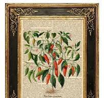 chili peppers on book pages 