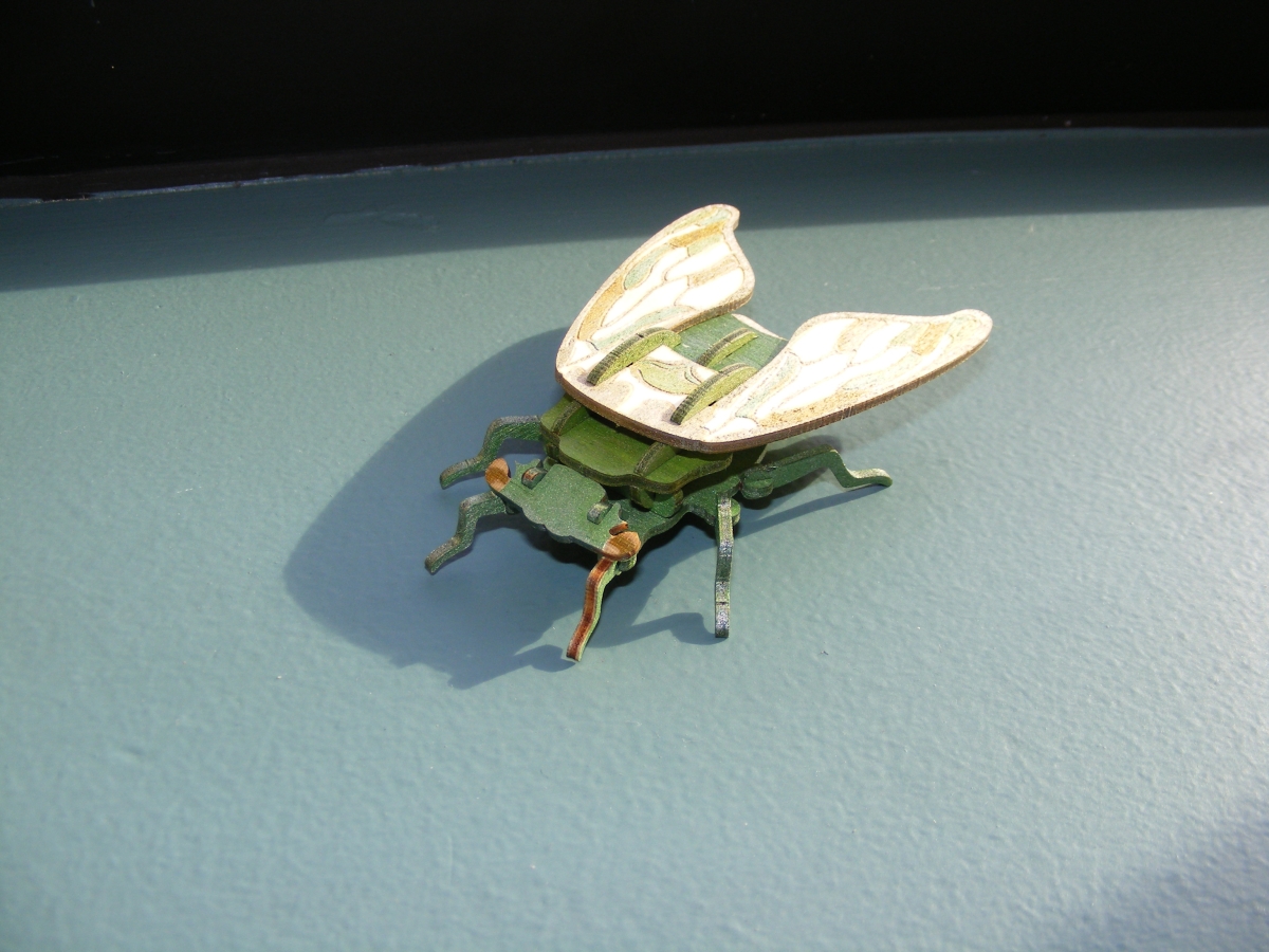 Cicada wooden model