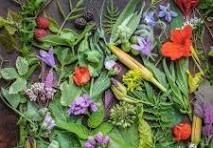 Edible Plant Sample Pic 