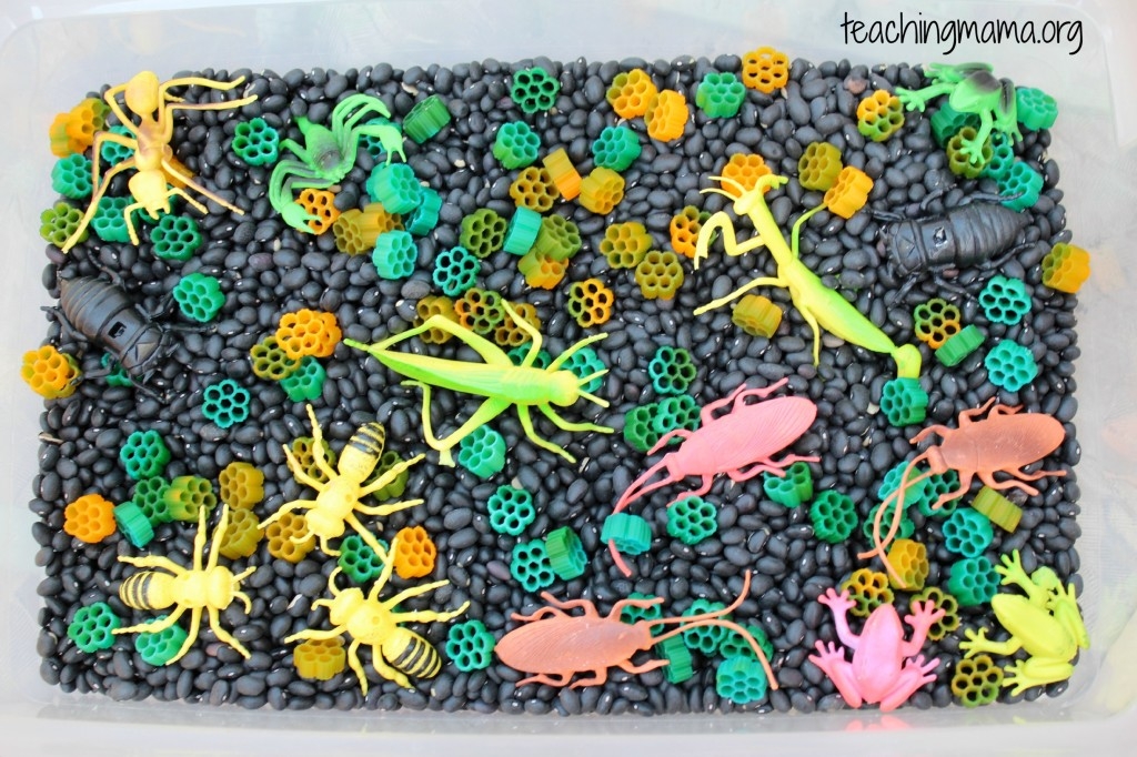 Sensory tub with bugs.