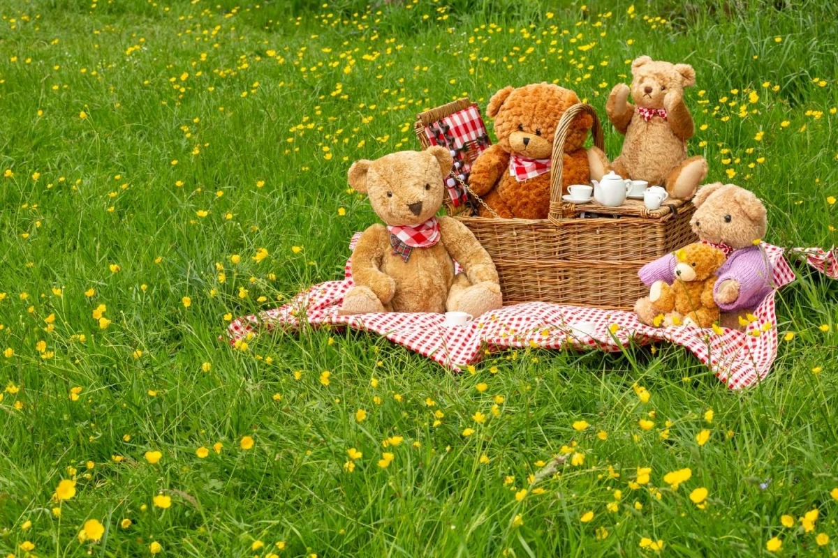 Teddy Bear Picnic