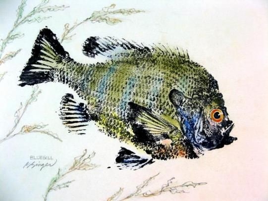 Gyotaku Fish Print art