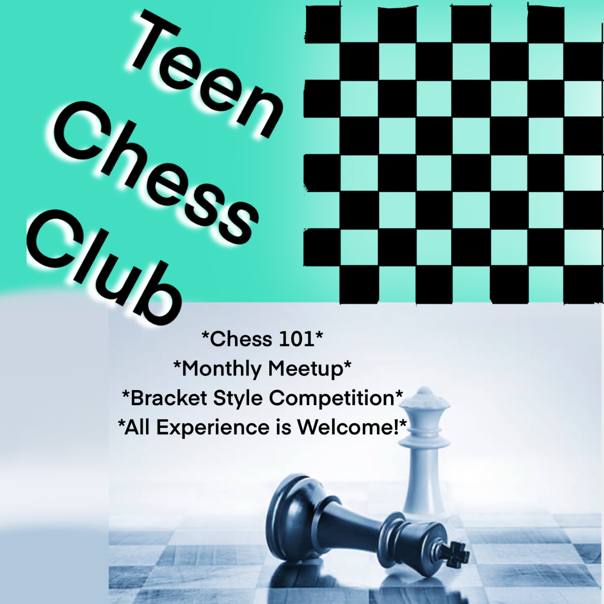 Teen Chess Club - Chess 101, Monthly Meetup, Bracket Style Competition, All Experience is Welcome!