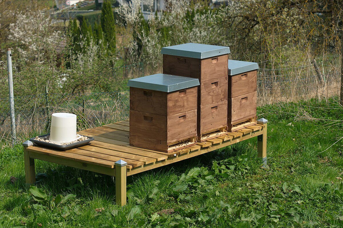 Bee boxes sat on top of a raised platform.